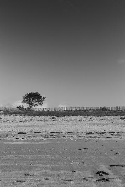 2019_09_13_Bretagne (0034).jpg - Locmariaquer (Morbihan septembre 2019)